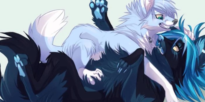 1368x855 Whitch Anime Wolf Are You? Playbuzz | Hot Trending Now