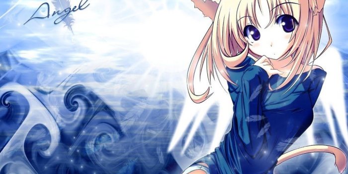 1024x768 Free Anime Cat, Download Free Clip Art, Free Clip Art on Clipart Library