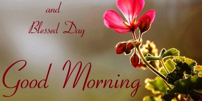 1024x768 16 Good Morning Have A Blessed Day Pics