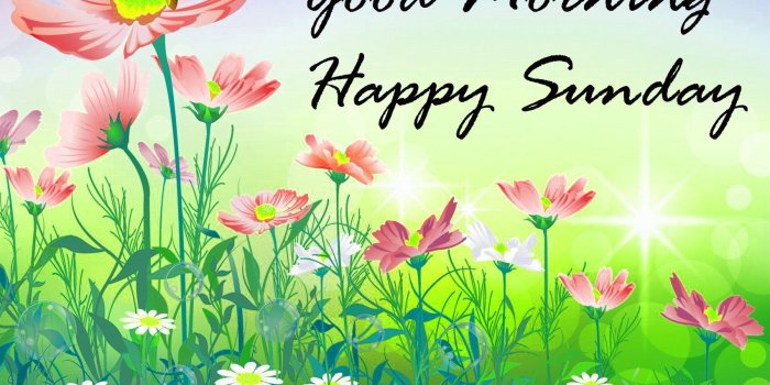 1702x1065 TOP Good Morning Sunday Wishes Quotes Images | Status Shayari