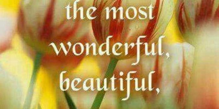 735x1101 34 of the Good Morning Quotes And Images Positive Energy for Good