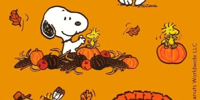 736x1599 Snoopy Halloween Iphone Wallpaper | inceptionwallpaper.com