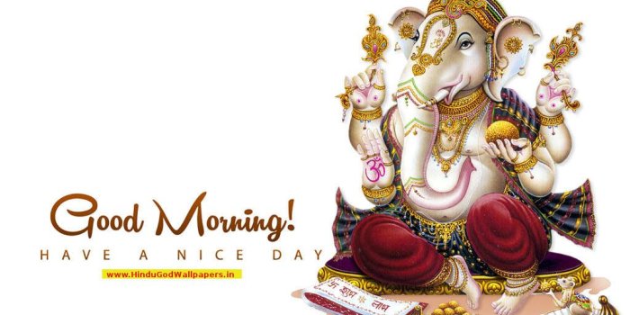 1024x768 Good Morning Hd Wallpaper (48+ images) on Genchi.info