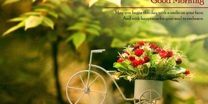 1600x1000 Good Morning - Free Large Images
