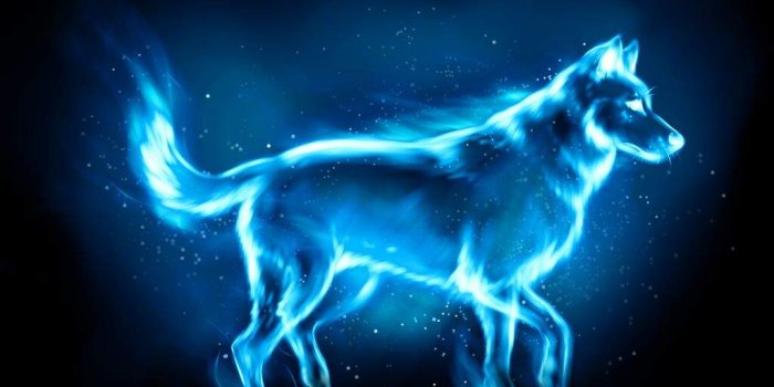 1024x768 I Analyze My Patronus And Wand | Harry Potter Amino