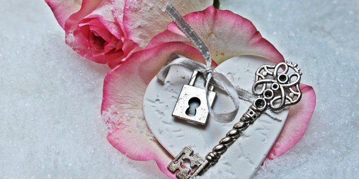 1332x850 Wallpaper love, rose, heart, winter, snow, key, romantic, petals