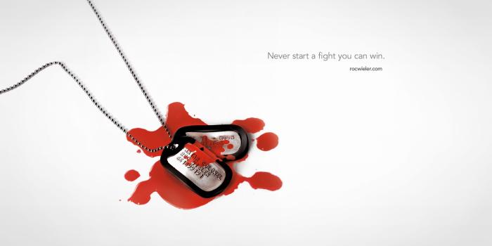 2560x1440 At least a wallpaper | ROC'S RAMBLINGS