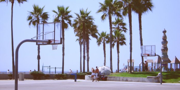 1024x768 Free download Basketball court in Venice Beach CA Dan Mikolics