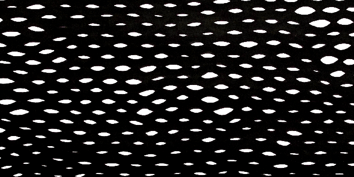 1635x3953 HD Christopher Wanton Goyard T Shirt Transparent PNG Image Download