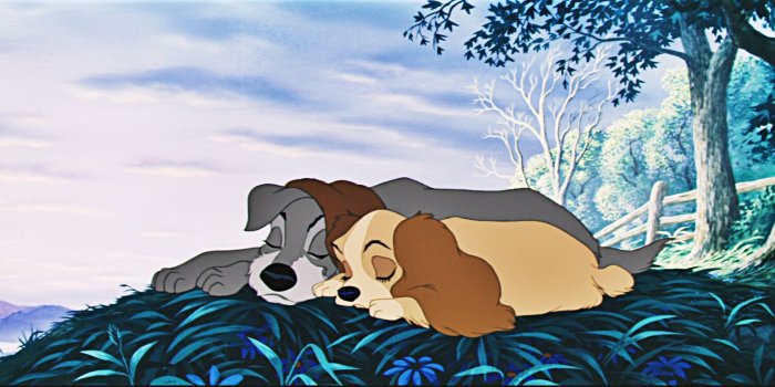 2560x1004 Lady And The Tramp Wallpaper 20 - 2560 X 1004
