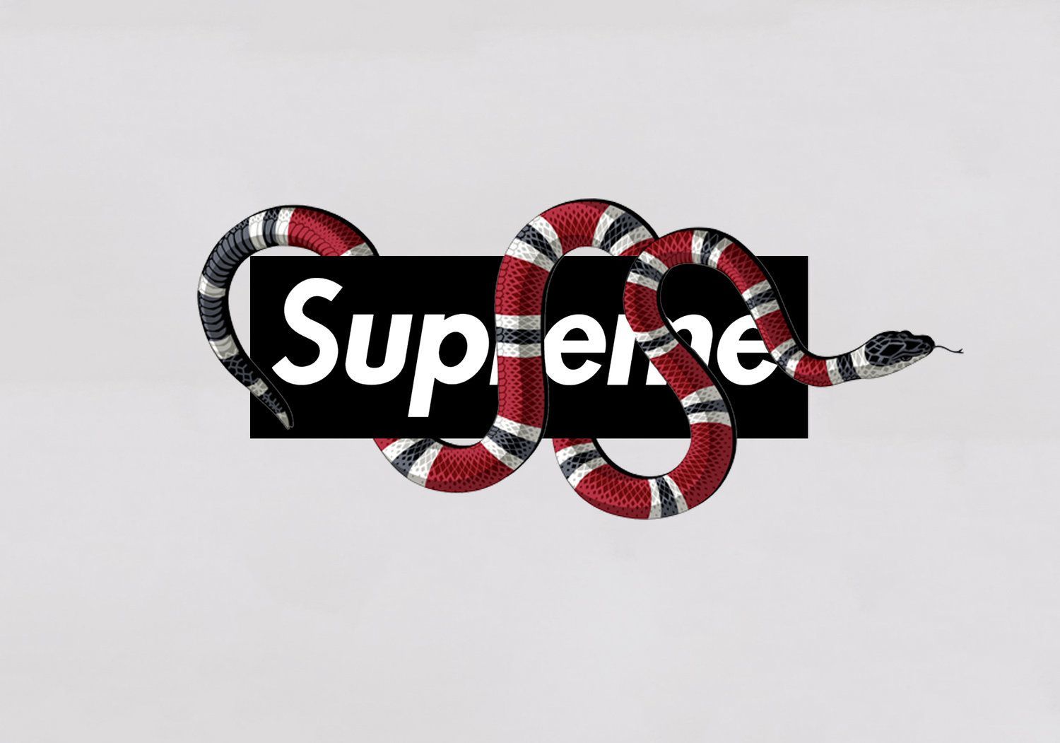 1500x1051 Supreme Gucci Snake Wallpapers - Top Free Supreme Gucci Snake
