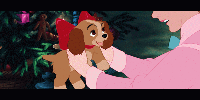 1920x1080 Lady And The Tramp Wallpapers