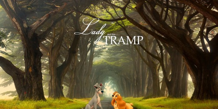 1353x810 Lady And The Tramp Hd Wallpapers | Spot Wallpapers