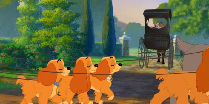 1920x1080 11 HD Lady and the Tramp Wallpapers