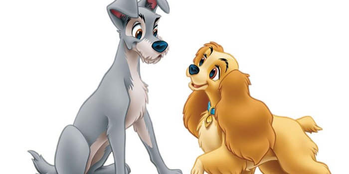 1795x1205 Lady and the Tramp #6800175