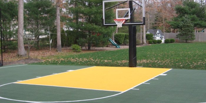 1024x768 BASKETBALL COURTS | DeShayes Dream Courts