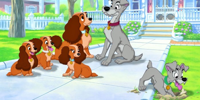1920x1200 Lady and the Tramp #6800177