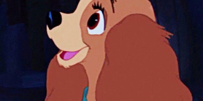 1082x1920 Lady and The Tramp | •Wallpapers• em 2019 | Papeis de parede tumblr