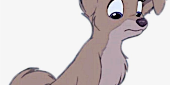 820x1005 Angel Images Angel Hd Wallpaper And Background Photos - Lady And The