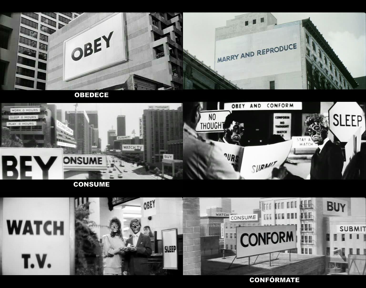 1536x1208 Every once in a while, the truth manages to slip past the censors