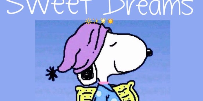 1328x1328 Good Night Sweet Dreams with Snoopy. ✨