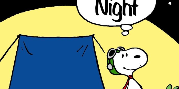 1275x1275 Sleep tight, pleasant dreams. | Comics Daily | Snoopy, Snoopy love