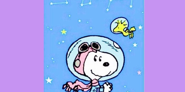 1328x1328 Snoopy Fun Time 