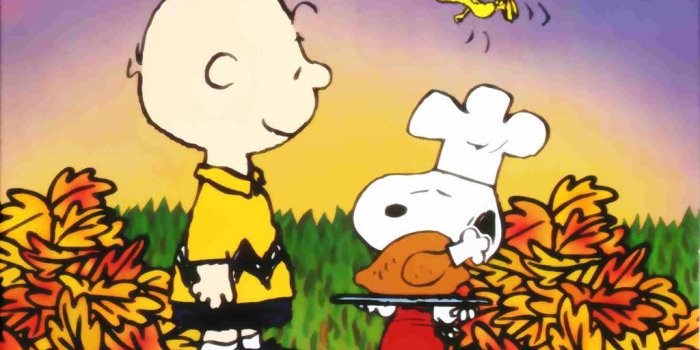 1024x768 50+] Free Peanuts Desktop Wallpaper on WallpaperSafari