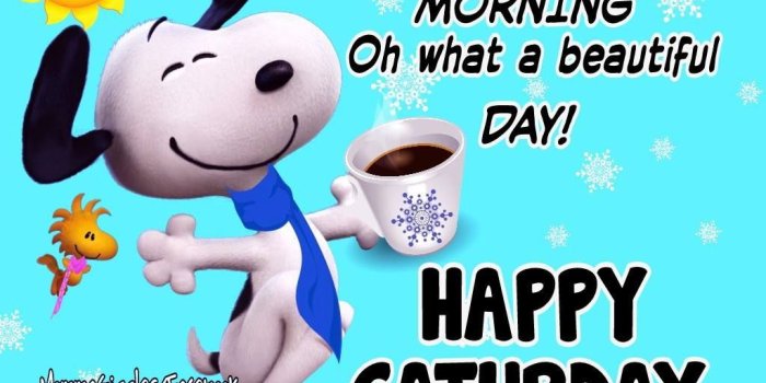 1024x768 Saturday | ✿ Days of the Week ✿ | Happy saturday quotes, Saturday