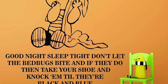 1499x1500 Amazon.com: SNOOPY WALL DECALS Decal GOOD NIGHT SLEEP TIGHT Charlie