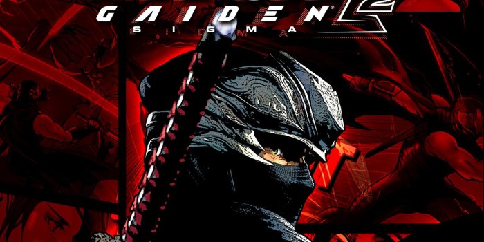 1280x960 Download Ninja gaiden wallpaperNinja gaiden wallpapercute ninja