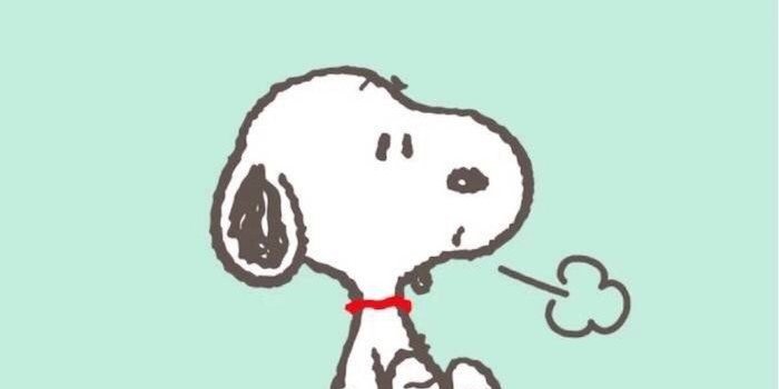 700x1244 Snoopy Wallpapers - Wallperio.com