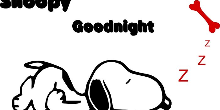1500x841 Amazon.com: CUSTOM DECALS FOR ROOMS, SNOOPY CHARLIE BROWN GOOD NIGHT