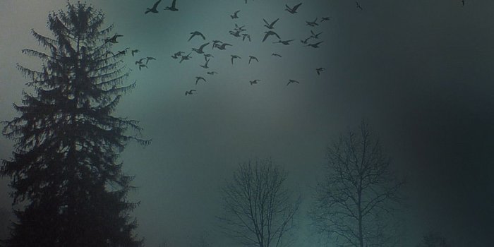 1080x1920 Android Lock Screen Wallpaper (89+ images)