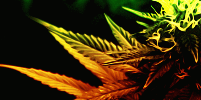 1080x1920 Free HD 420 Lock Screen iPhone Wallpaper For Download0294