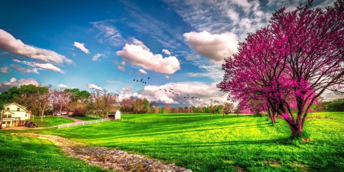 1920x1080 Beautiful spring wallpapers, Pictures, Images