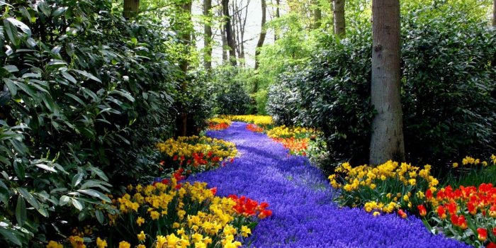 1440x900 70+ Scenic Spring Wallpapers - Download at WallpaperBro