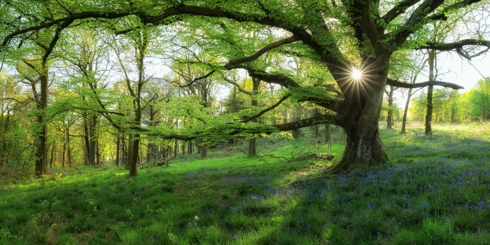 5120x2160 Most Beautiful Spring Landscapes On Earth ❤ 4K HD Desktop Wallpaper