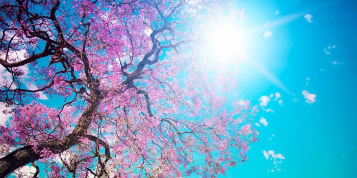 1920x1200 Download Free Spring Wallpapers Most Beautiful Places - Hình Nền Máy
