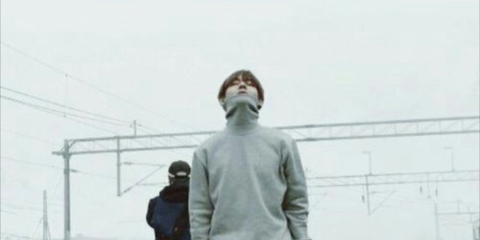 1080x1920 The scenery behind them is beautiful. Rainy and misty is my favorite