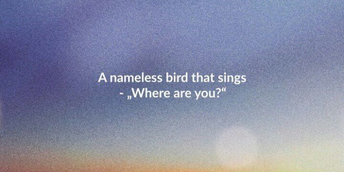720x1280 4 O'clock | —Wallpaper in 2019 | Bts lyric, Bts wallpaper, Bts quotes