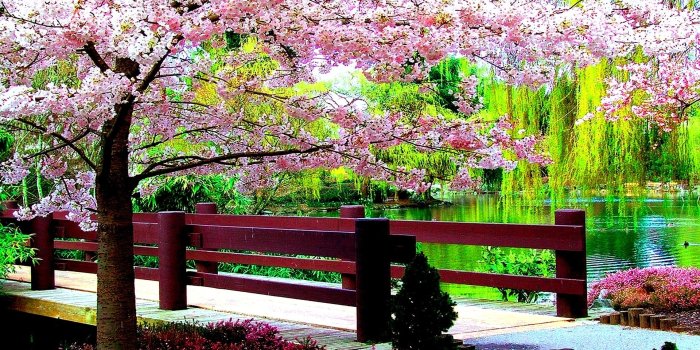 1920x1200 Spring Wallpaper and Screensavers (52+ images)