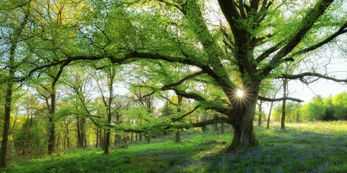 2880x1800 Most Beautiful Spring Landscape Mac Wallpaper Download | Free Mac