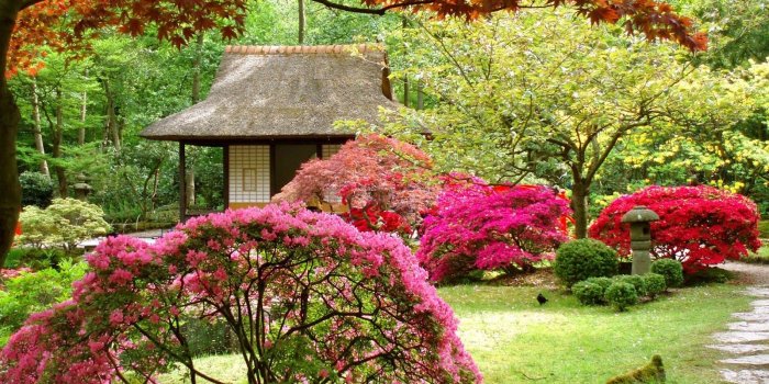 1600x900 Download Free Spring Wallpapers | Most beautiful places in the world