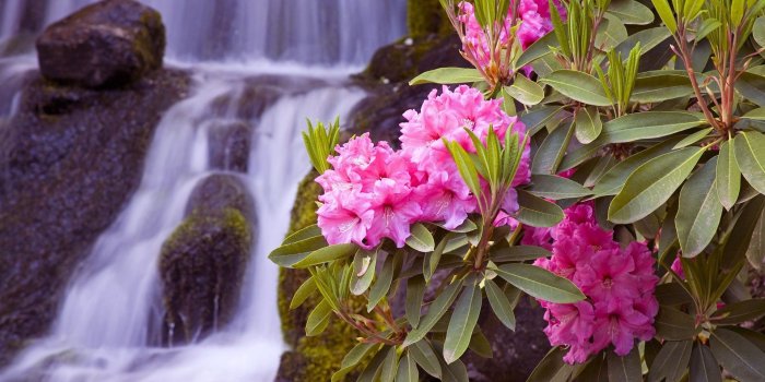 1920x1080 70+ Beautiful Spring Desktop Wallpapers - Download at WallpaperBro