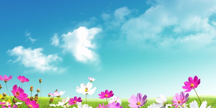 1920x1329 70+ Beautiful Spring Desktop Wallpapers - Download at WallpaperBro