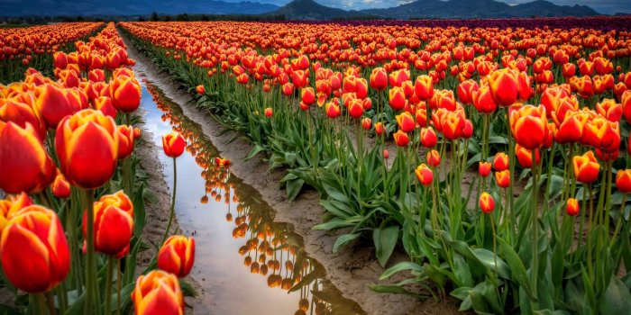 1600x1062 Very Cute Beautiful Spring Images HD Wallpaper - all 4u wallpaper