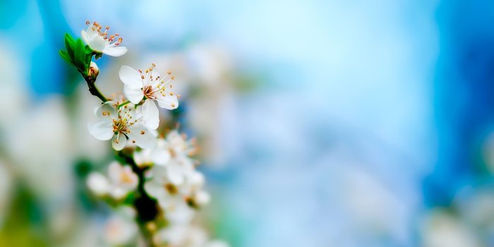 2560x1600 Early Spring Wallpaper (52+ images)