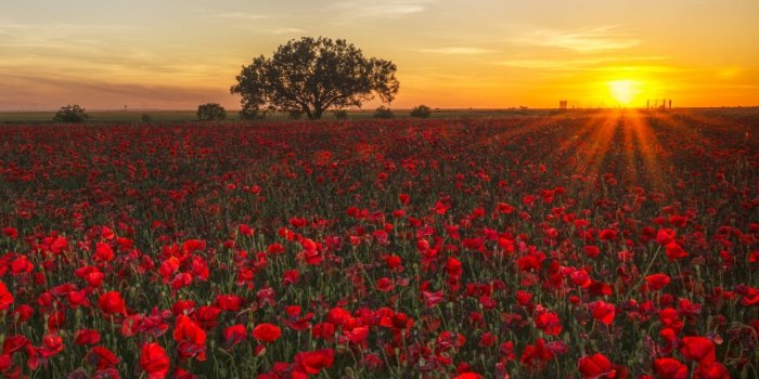 1280x1280 Beautiful Spring Landscapes Of The World ❤ 4K HD Desktop Wallpaper
