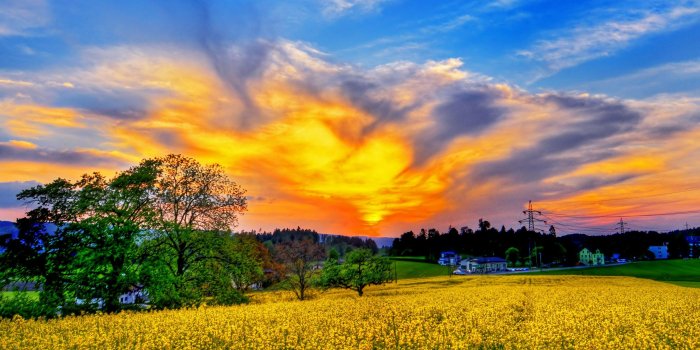 2560x1600 Spring Scenery Wallpaper WallpaperSafari, Most Beautiful Spring